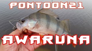 Аваруна рулит, рыбалка на Awarune от Pontoon21
