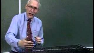 Torsion Wave