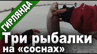 РЫБАЛКА С ГИРЛЯНДОЙ и немного безмотылки! Сезон 2018-2019 г. (Рыбалка в 4K Ultra HD)