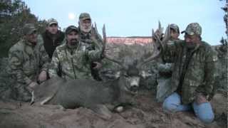 Utah Mule Deer 2009 Governor's Tag - MossBack