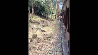 [.Puffing Billy #1.]