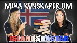 VAD KAN JAG OM ISLANDSHÄSTAR?