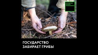 Сбор грибов и ягод населением отрегулирует Минсельхоз