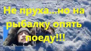 Мормышинг и МЖ в начале весны