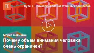 Виды и свойства внимания — Мария Фаликман