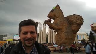 Самая страшная белка в жизни
