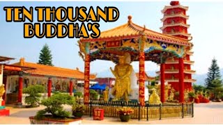 Ten Thousand Buddha's Monastery, tourist attraction #hongkong!