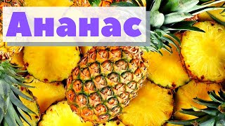 Как это сделано | Ананас |Pineapple