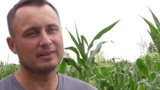 Экологическое агропроизводство пока недооценено в Приднестровье