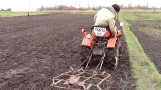 Сеем фацелию и испытываем трактор