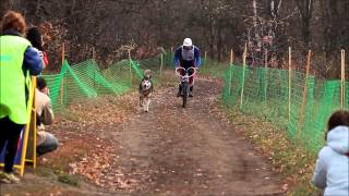 Саратов 2012. Драйленд