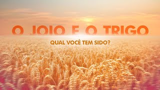 O JOIO E O TRIGO - Qual você tem sido?