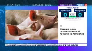 На крыле орла  Специальный репортаж Антона Борисова   Россия