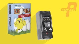 Терморегуляторы для инкубаторов Квочка, обзор