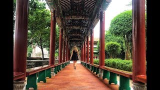 The Most Beautiful Garden in Guangzhou - Bao Mo Garden 宝墨园