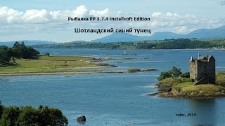 Синий тунец . Шотландия. РР 3.7.4