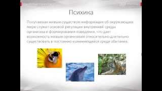 Психология урок 9 Понятие психики