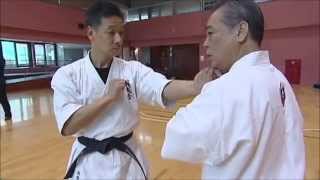 剛柔流空手道拳法奥伝 型に隠された実戦技セミナー・セーパイkaratedo