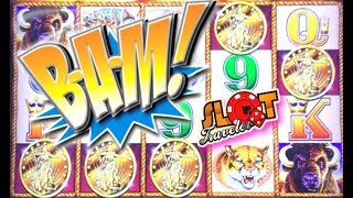 ★ AWESOME WIN!! ★ 5 SYMBOL BUFFALO GOLD SLOT MACHINE BONUS WIN  ☞ Slot Traveler