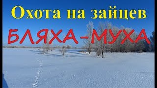 Охота на зайцев - Бляха-Муха