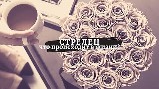 Стрелец. Что происходит в жизни?