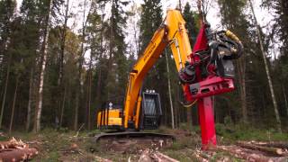 харвестер на базе Hyundai с головкой Waratah h480c от компании Техносервис  www.tsauto-nn.ru