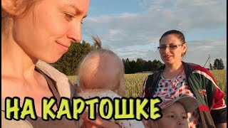 САЖАЕМ КАРТОШКУ ПОД ДОЖДЕМ - Влог деревенский