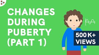 Reaching Adolescence - Changes during Puberty Part 1 - CBSE Class 8