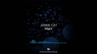 Junkie Cat — PRAY (PLVY BLVCK X RAYMEAN ROUND 2 БИТ) //SNIPPET