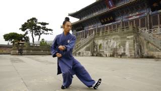 Wu Dang Tai Ji 13 -- Xiao Yun 肖云太极十三式