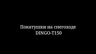 Покатушки на DINGO-T150