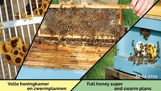 Volle honingkamer en zwermplannen - E05S2019