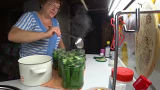 МАРИНОВАННЫЕ ОГУРЧИКИ 7 июля 2019 г.