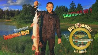 ?Трофейная щука.Хапнул адреналина ???.Щука на блесну