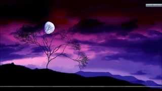 CHE GELIDA MANINA PERFORMED BY ARSENIY ARSOV