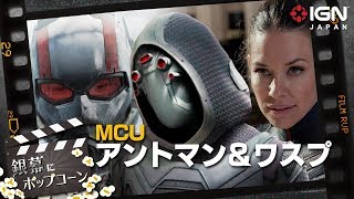 『アントマン&ワスプ』：第54回 銀幕にポップコーン