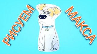 Как Нарисовать Собаку Макса ( Тайная жизнь домашних животных) / поэтапно