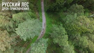 Русский лес. Дрон-приключения.