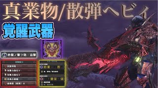 【MHW:IB】真業物/散弾ヘビィ！　覚醒武器/迫撃　歴戦テオテスカトルに試し撃ち/モンスターハンターワールドアイス