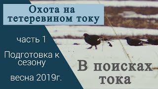Охота на тетеревином току. Поиск тока