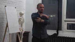 Неделя Техники Александера: занятие для художников