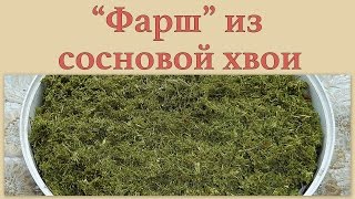 "Фарш" из сосновой хвои