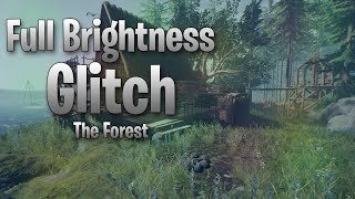 Full brightness glitch - The forest PS4