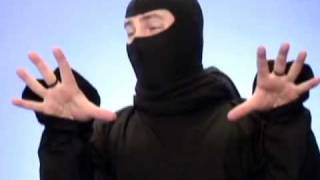 Ask A Ninja - Question 81 "OmniOmni Pt.2"
