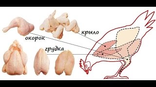 Обвалка Курицы