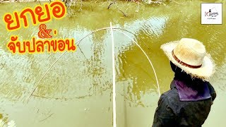 ยกยอใจมันรัก Fishing lifestyle Ep.50