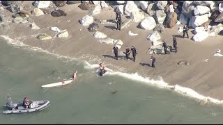 Man tries to outswim police in Pacific Palisades chase