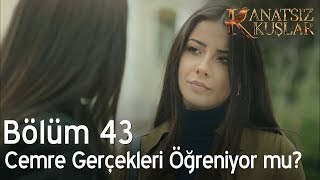 Kanatsız Kuşlar 43. Bölüm - Cemre, Kartal hakkındaki gerçeği öğreniyor mu?