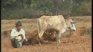 Asur Tribe of Jharkhand - A Documentary Movie