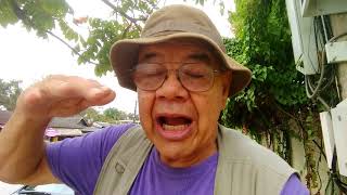 For Mature Men Looking for Companionship 3